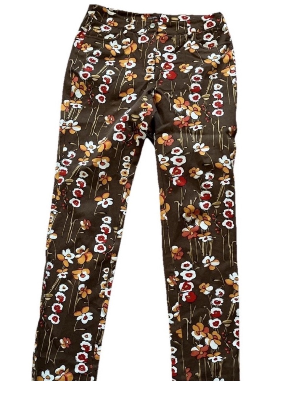 J. McLaughlin Straight Leg Ankle Pants Brown Floral Size 6